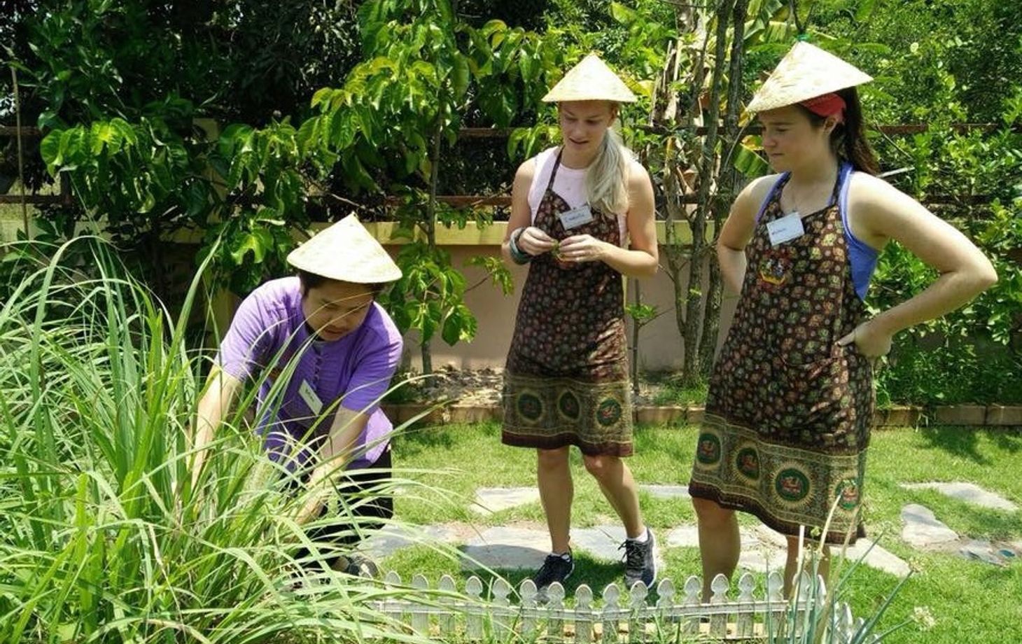 Private Class Morning & Evening with Fresh Ingredients at Organic Garden & Market