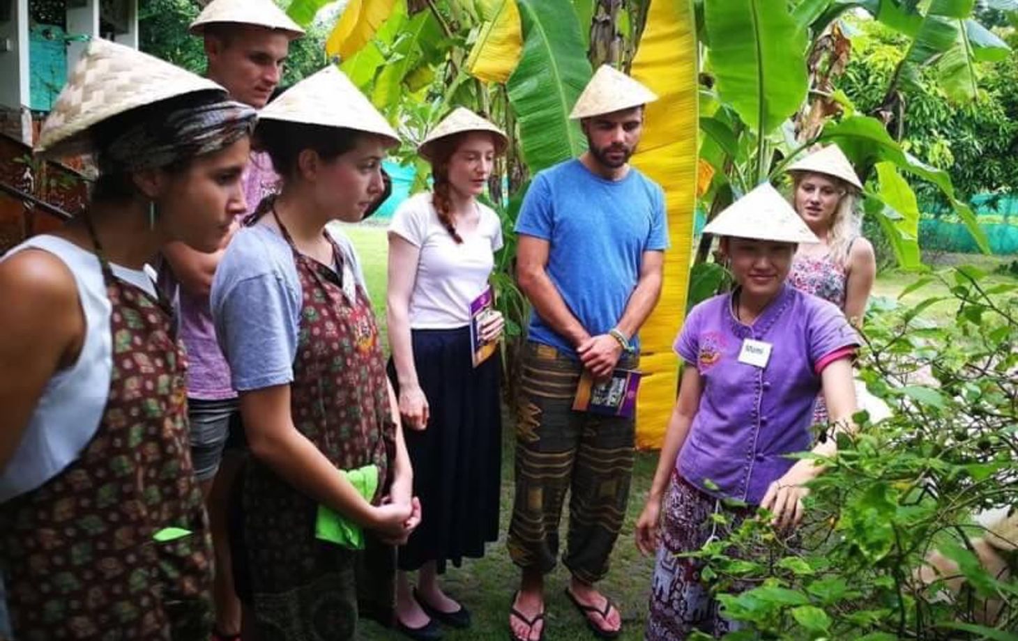 Koche mit frischen Zutaten: vom thailändischen Garten zum Wok!