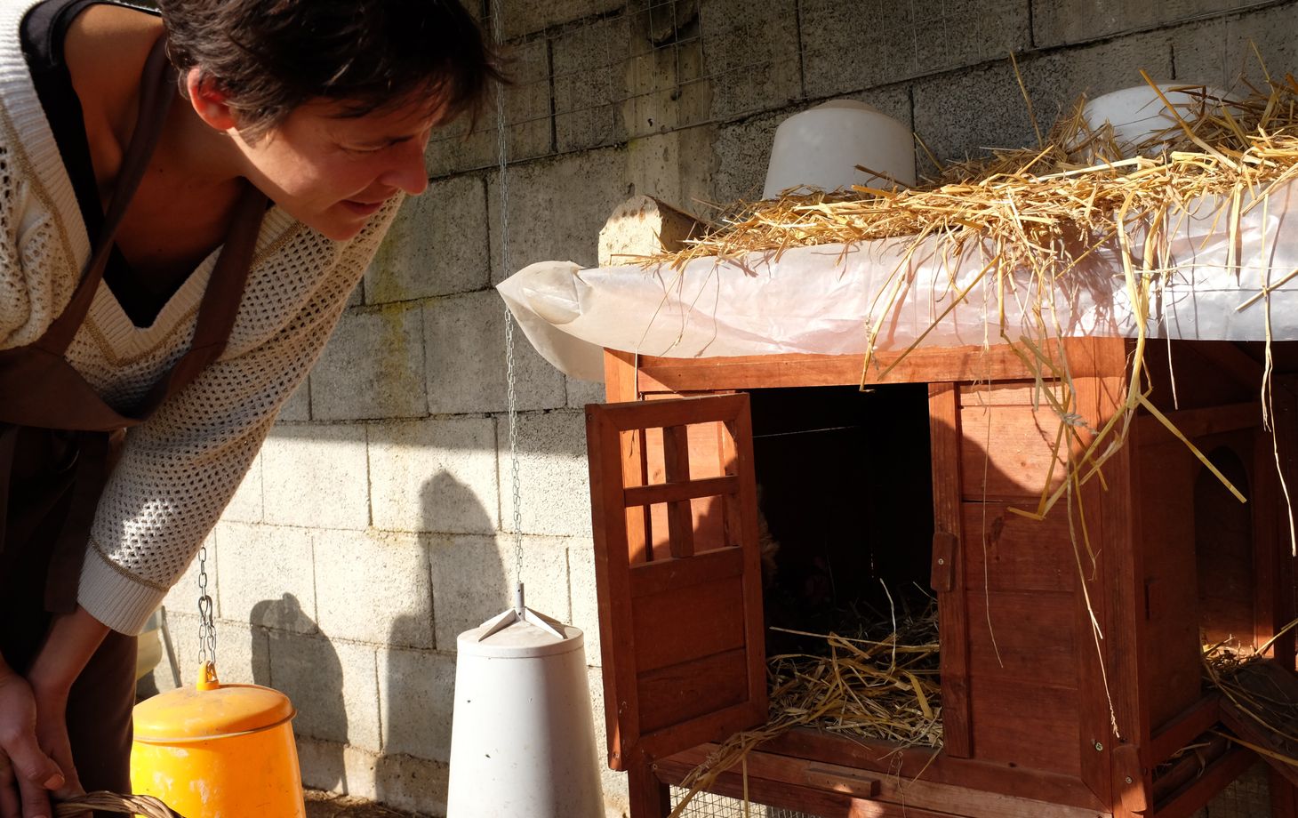 Cours de cuisine privés à la ferme : fabrication de pâtes