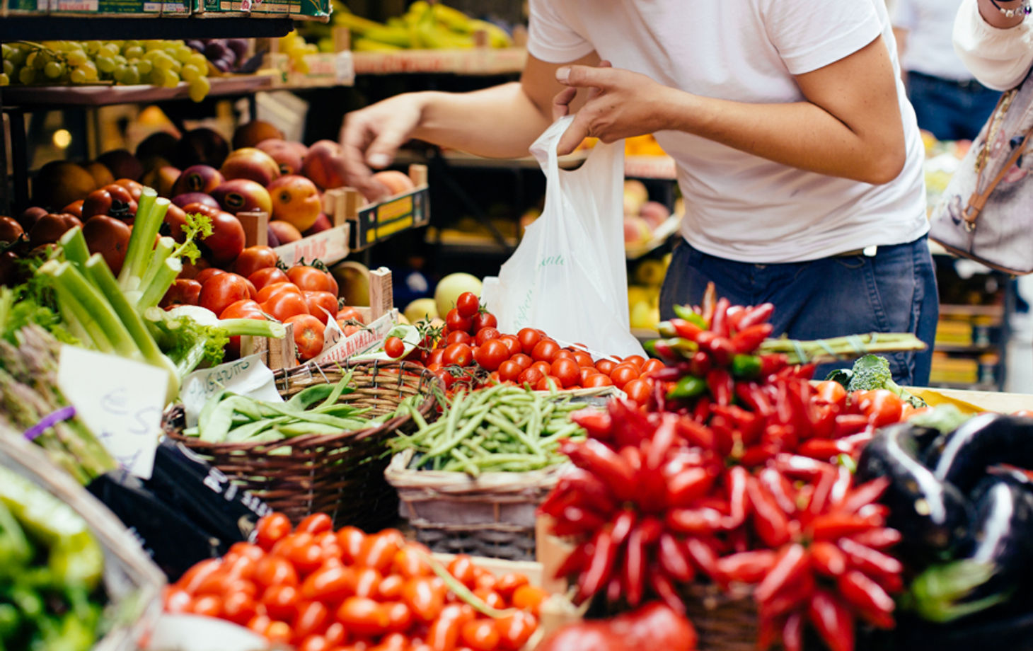 Taste Italy - Food and Wine Tours