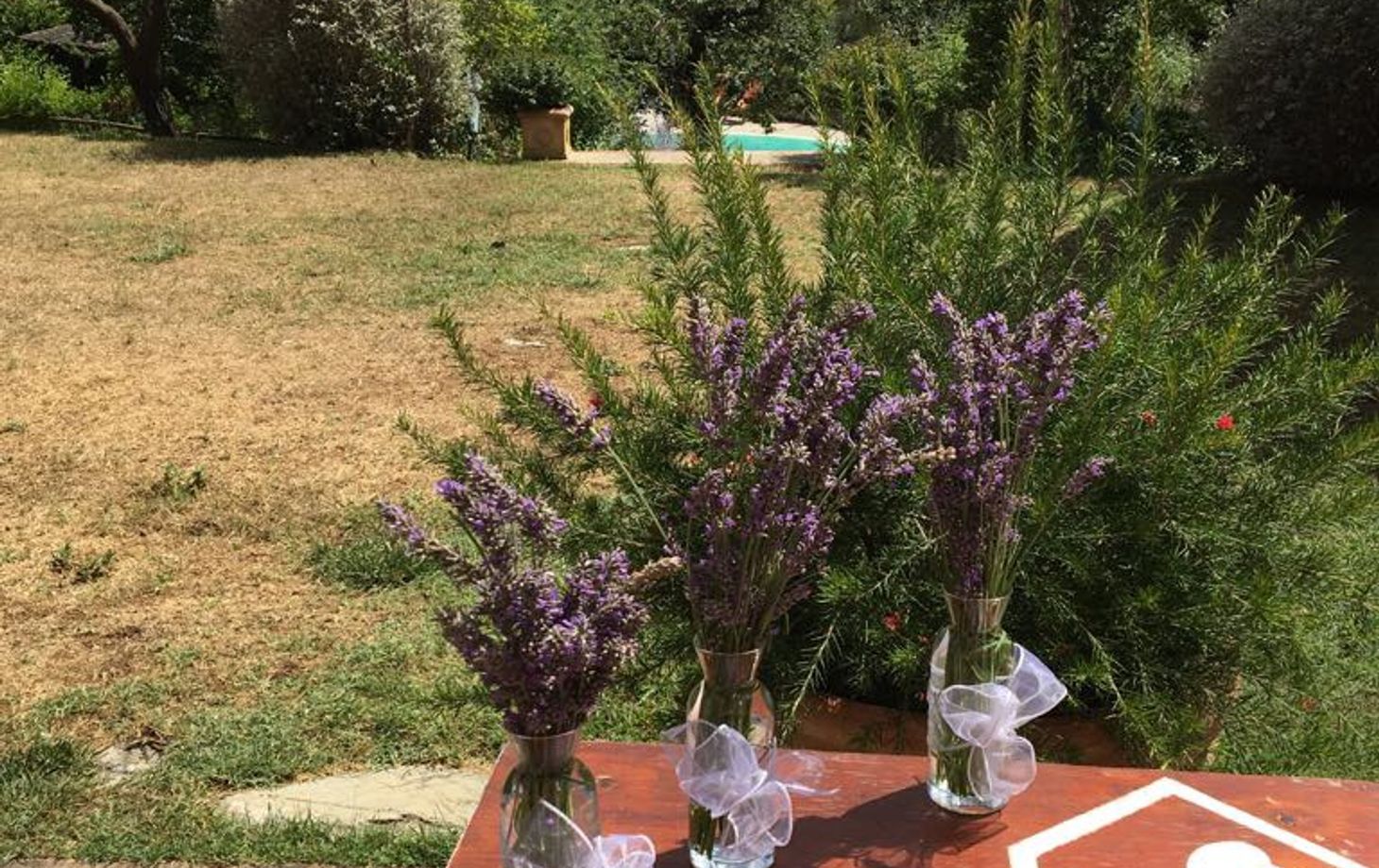 "Choose Your Own Menu" Cooking Class in San Casciano dei Bagni