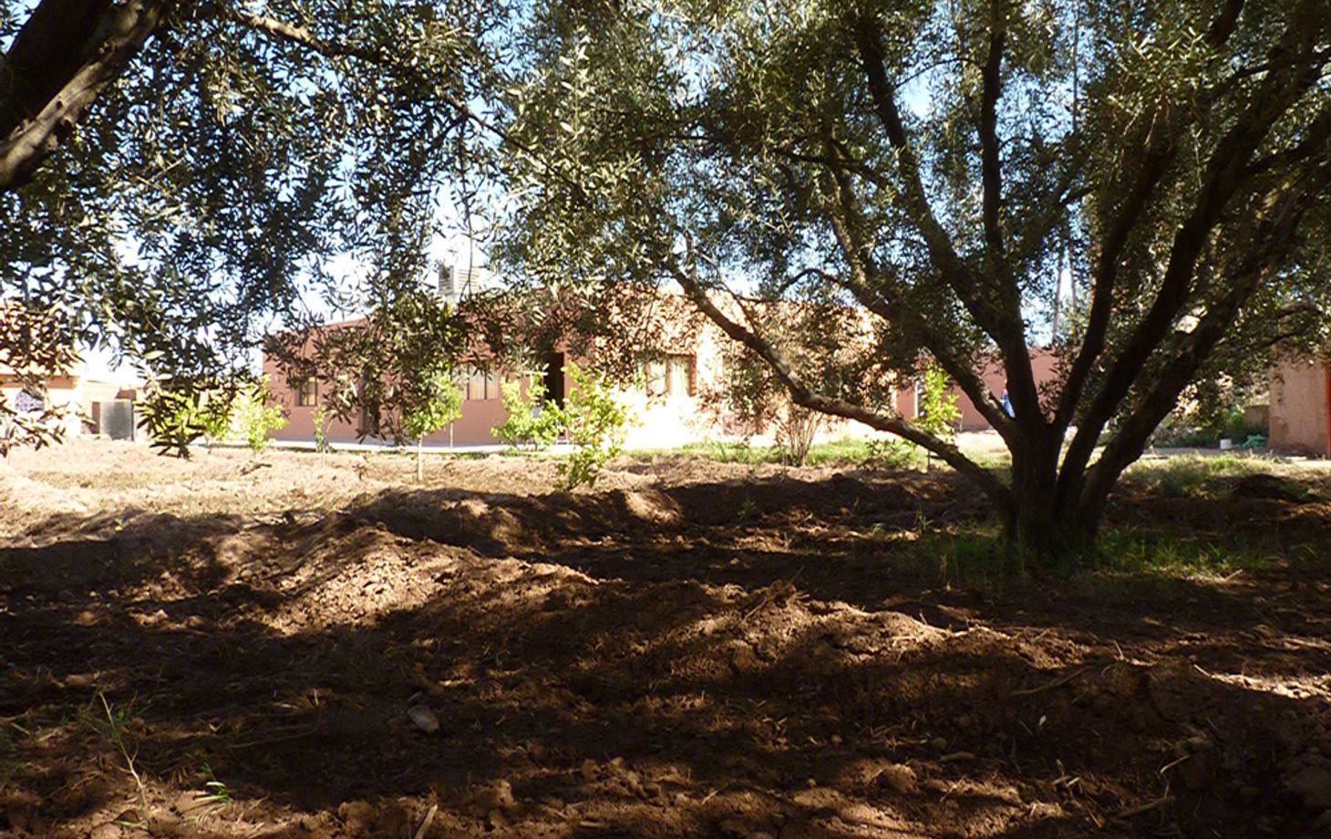 Moroccan Cooking Class on a Farm by L'Atelier Faim d'Epices