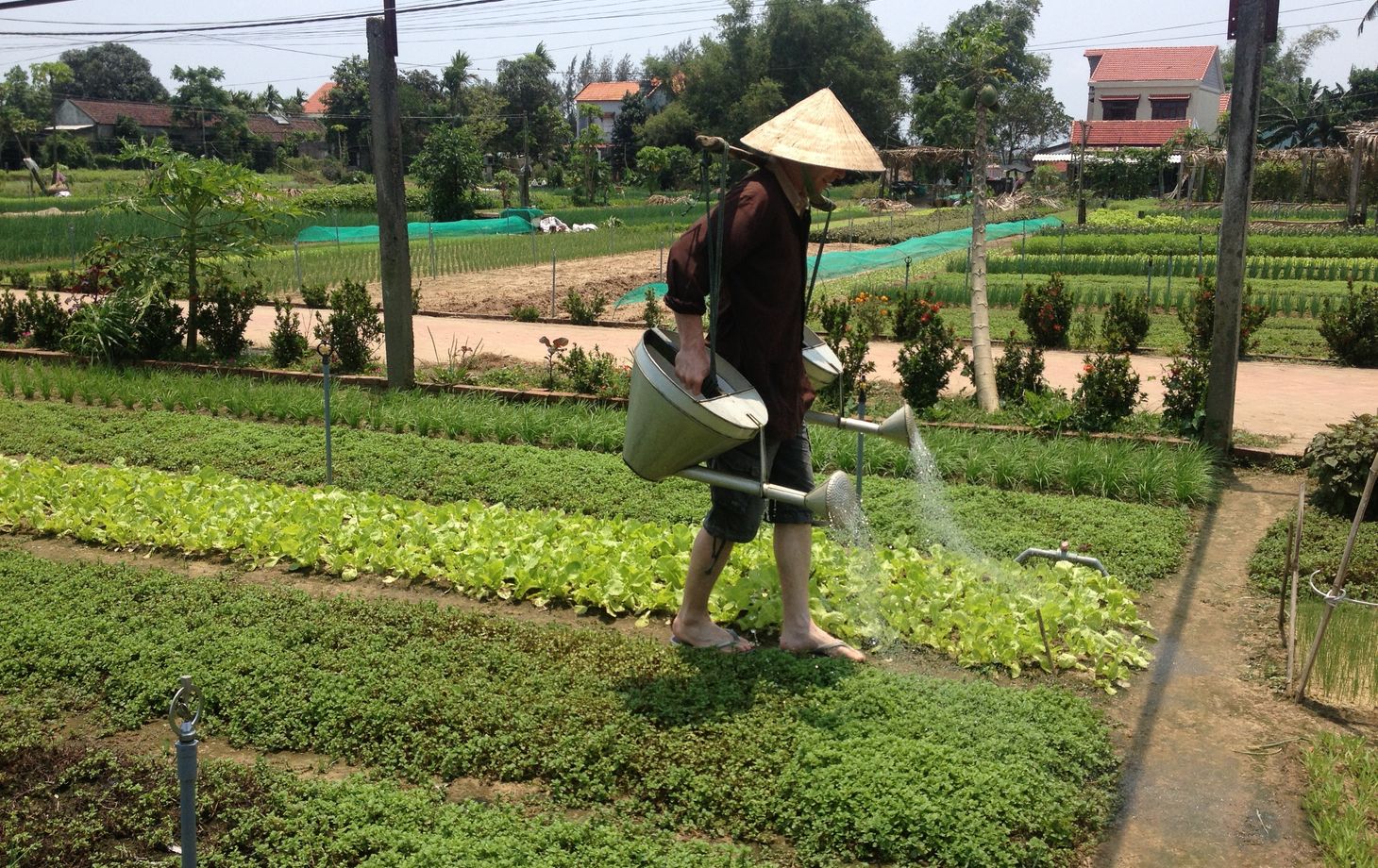 Hoi An Bicyclette Tour