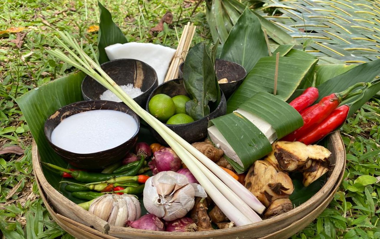 Cook with Fresh Picks from Organic Farm and visit Ubud's Market