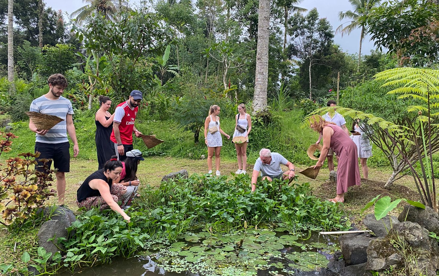 Cook with Fresh Picks from Organic Farm and visit Ubud's Market
