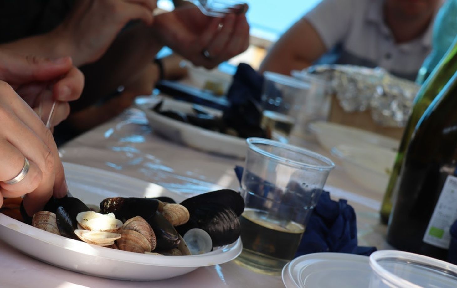 City Tour, Cooking Demonstration and Lunch on a Boat in Chioggia