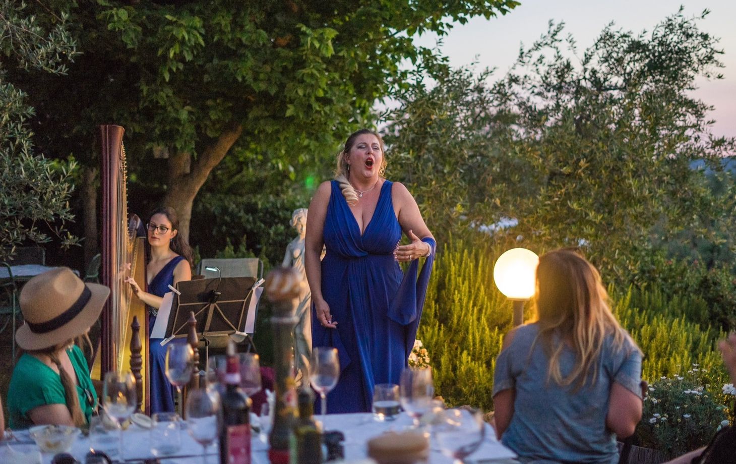 Culinary Experience with Dinner and Live Opera in the Countryside