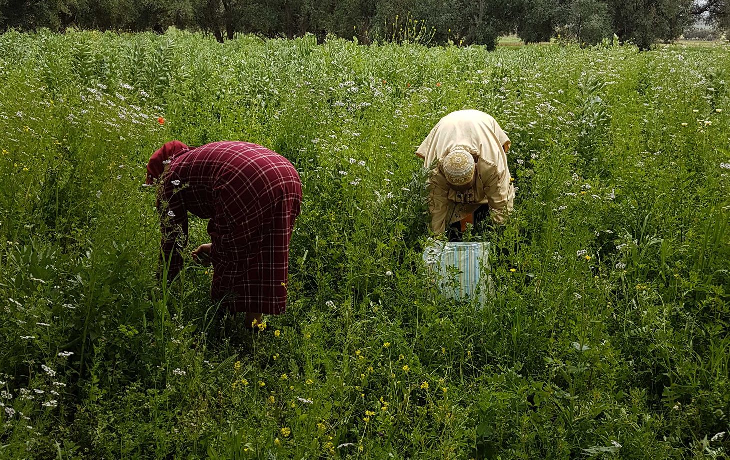 Cooking in Caid's Hidden Palace - 2 Hours from Marrakech