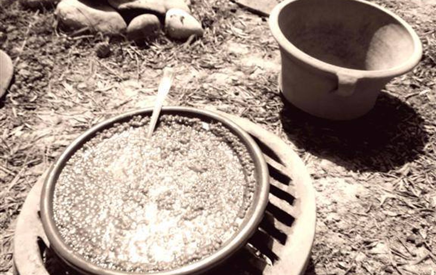 Cooking in Ancient Greece - Recipes from Archaeological Research