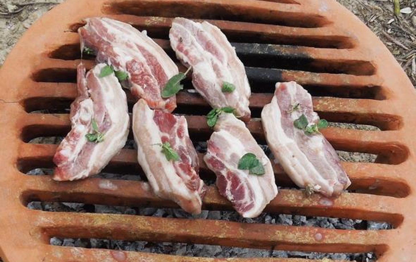 Cooking in Ancient Greece - Recipes from Archaeological Research