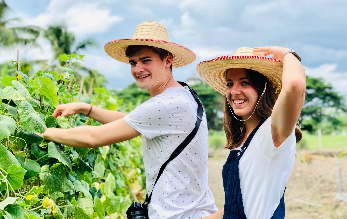 Cooking with Fresh Ingredients at Organic Farm with Local Market Tour