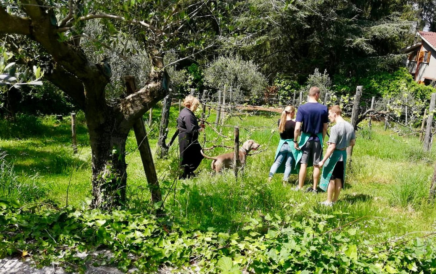 Cooking With Wild Herbs In The Countryside of Rome