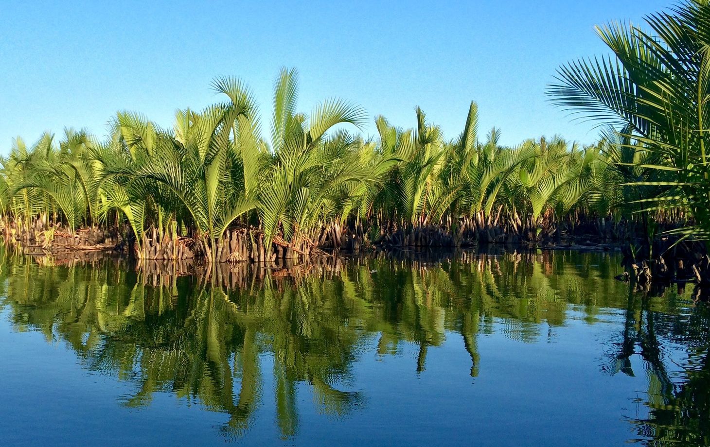 Countryside Bike Tour and Basket Boat Experience with Vietnamese Culinary Class