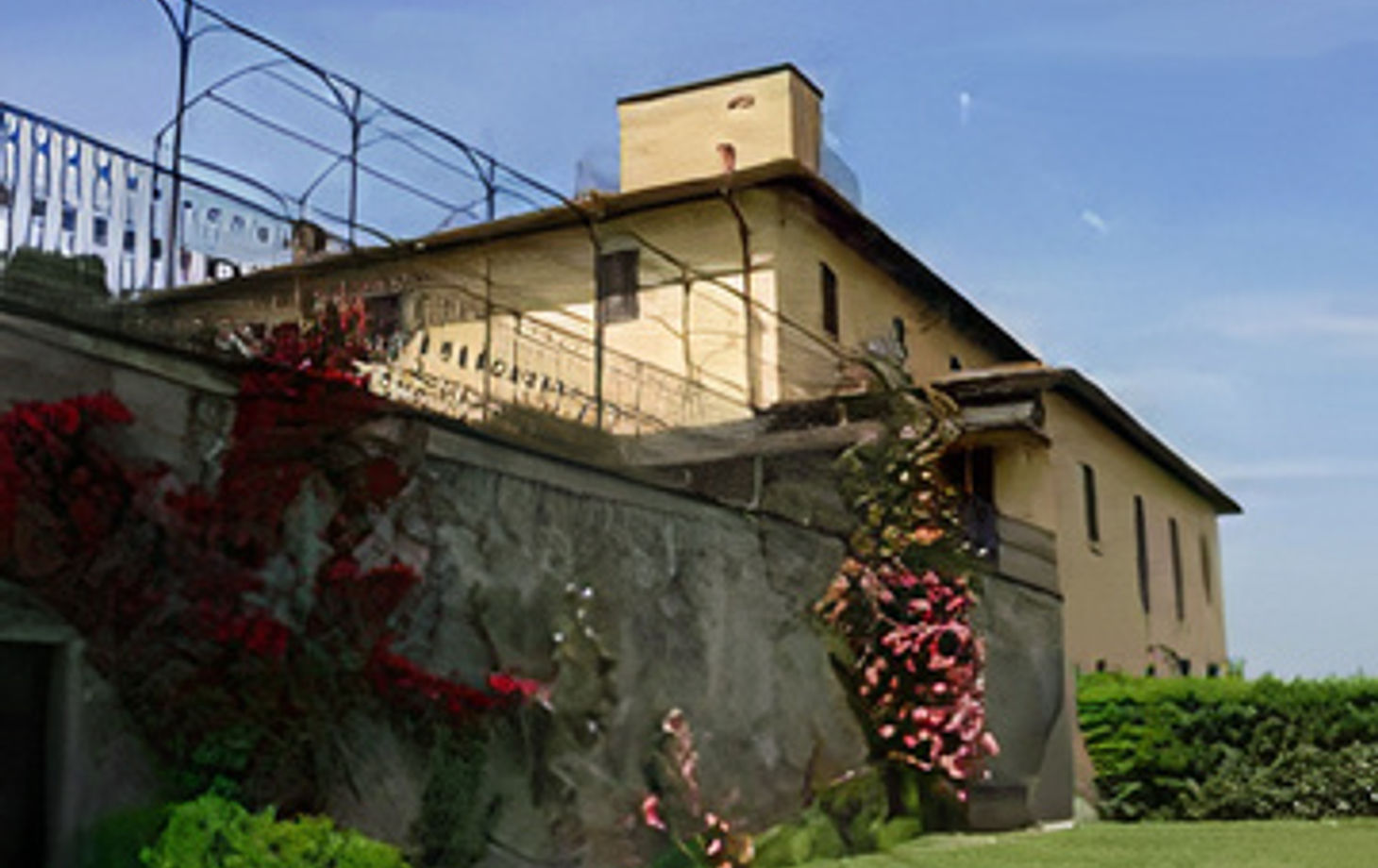 Cours de cuisine dans une villa toscane avec dégustation de vins et d'huile d'olive dans un domaine viticole ...