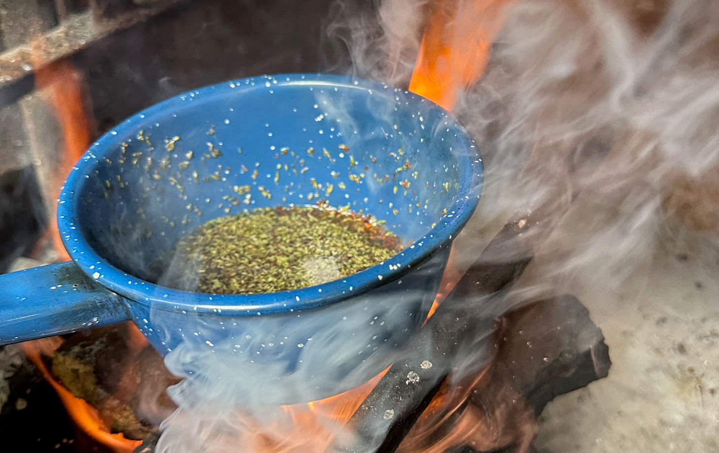 Cultural and Culinary Immersion: Discover the Flavors of Buenos Aires