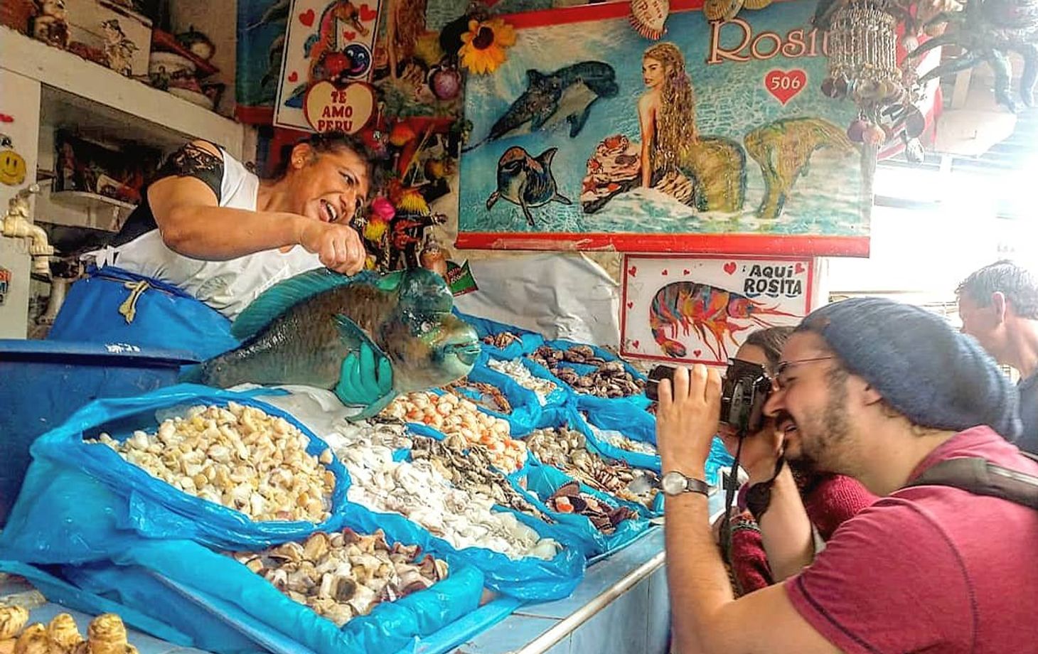 Haku Tours