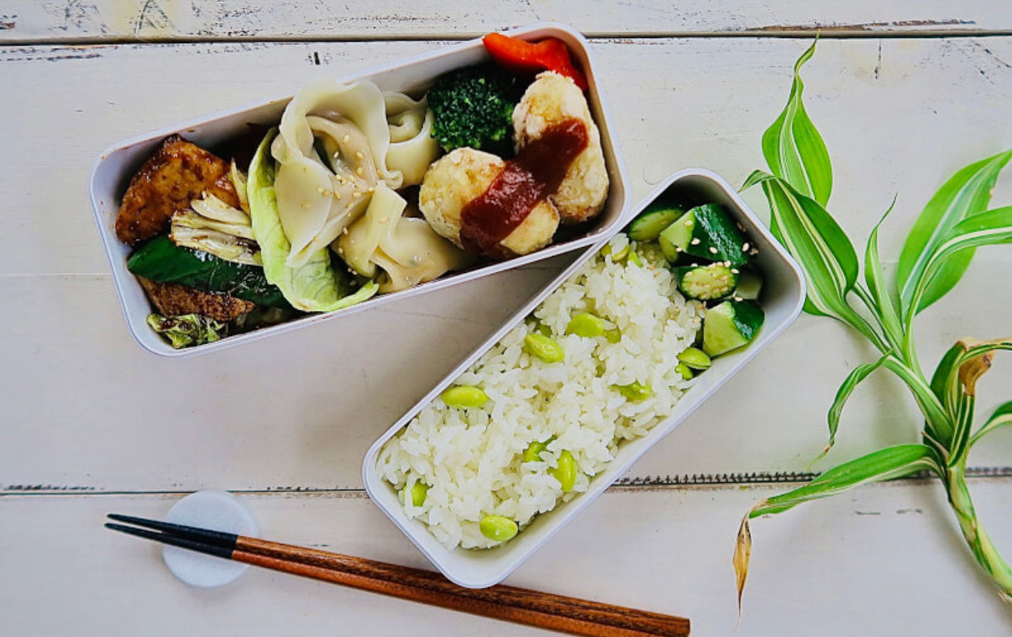 Delicious Japanese Cooking with Bento Box