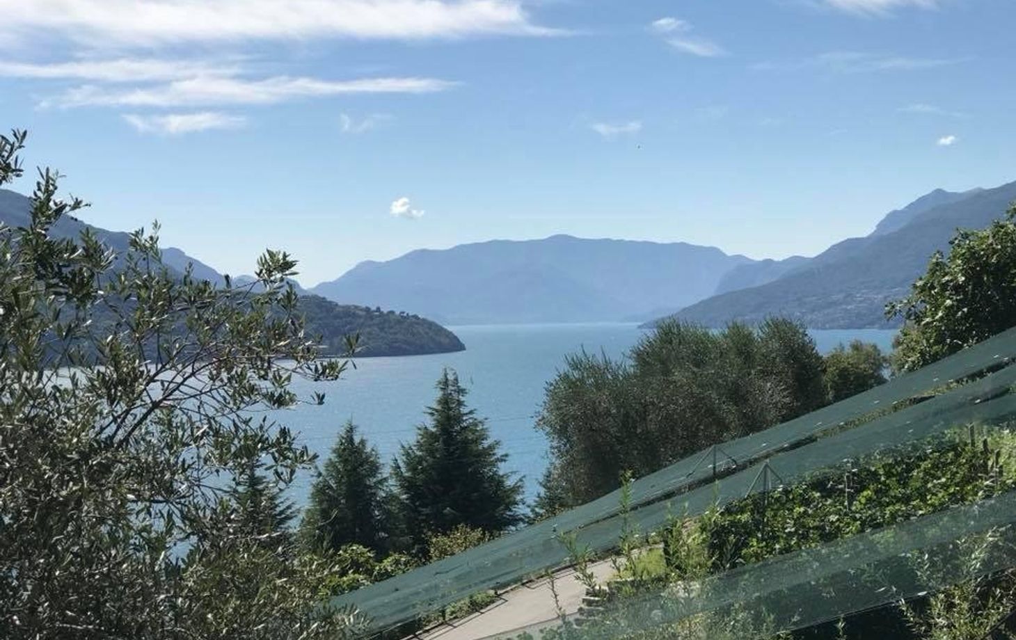 Wine Tour and Tasting Experience at Como Lake Winery in Domaso