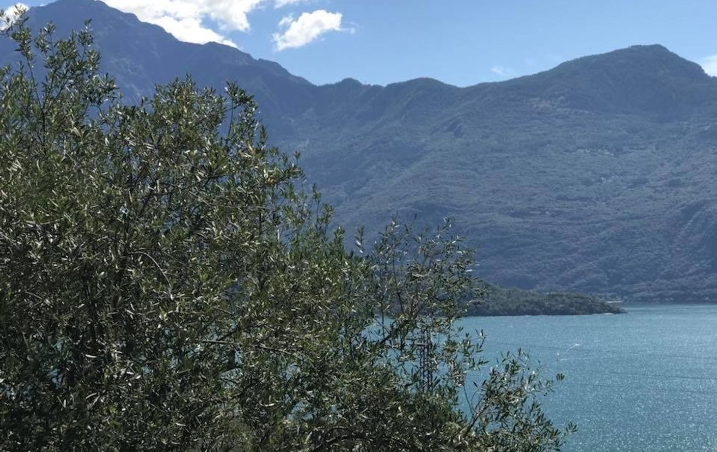 Wine Tour and Tasting Experience at Como Lake Winery in Domaso