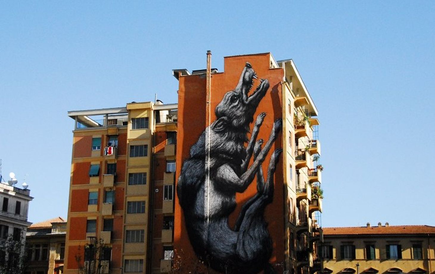 Eating Testaccio: Market Tour and Food tasting