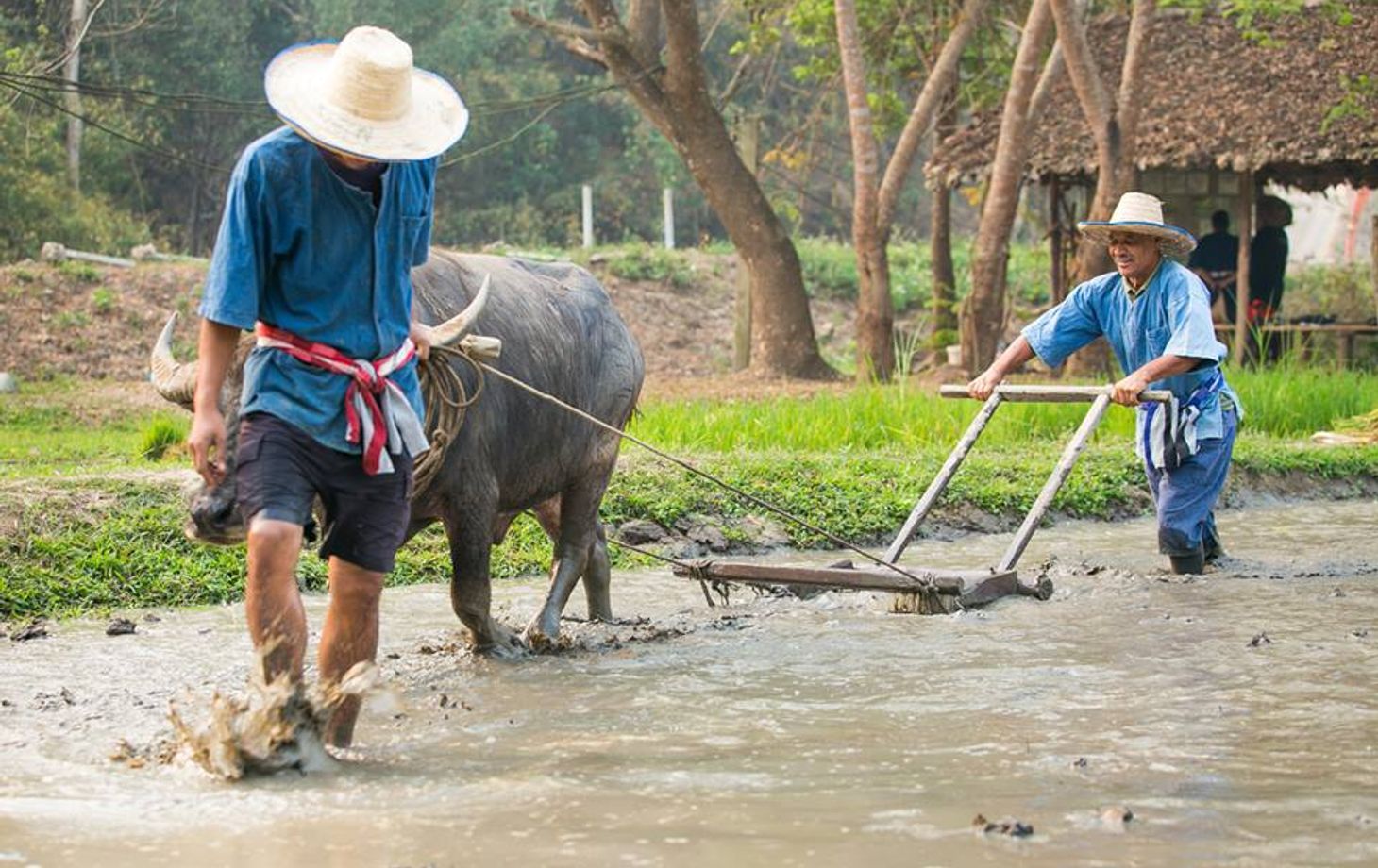 Adventurous, Delicious, Ecological & Cultural: The Full Karen Eco Lodge Experience (3 Days 2 Nights)