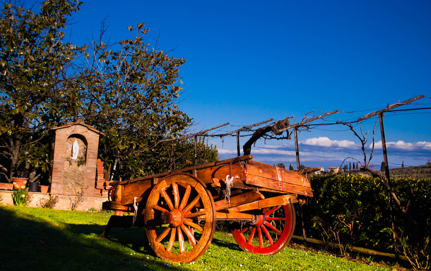 Essence of Tuscany – Wine and Virgin Olive Oil Tastings in San Gimignano