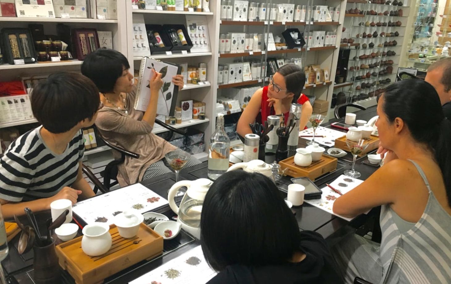 Experience The Art of Tea Tasting