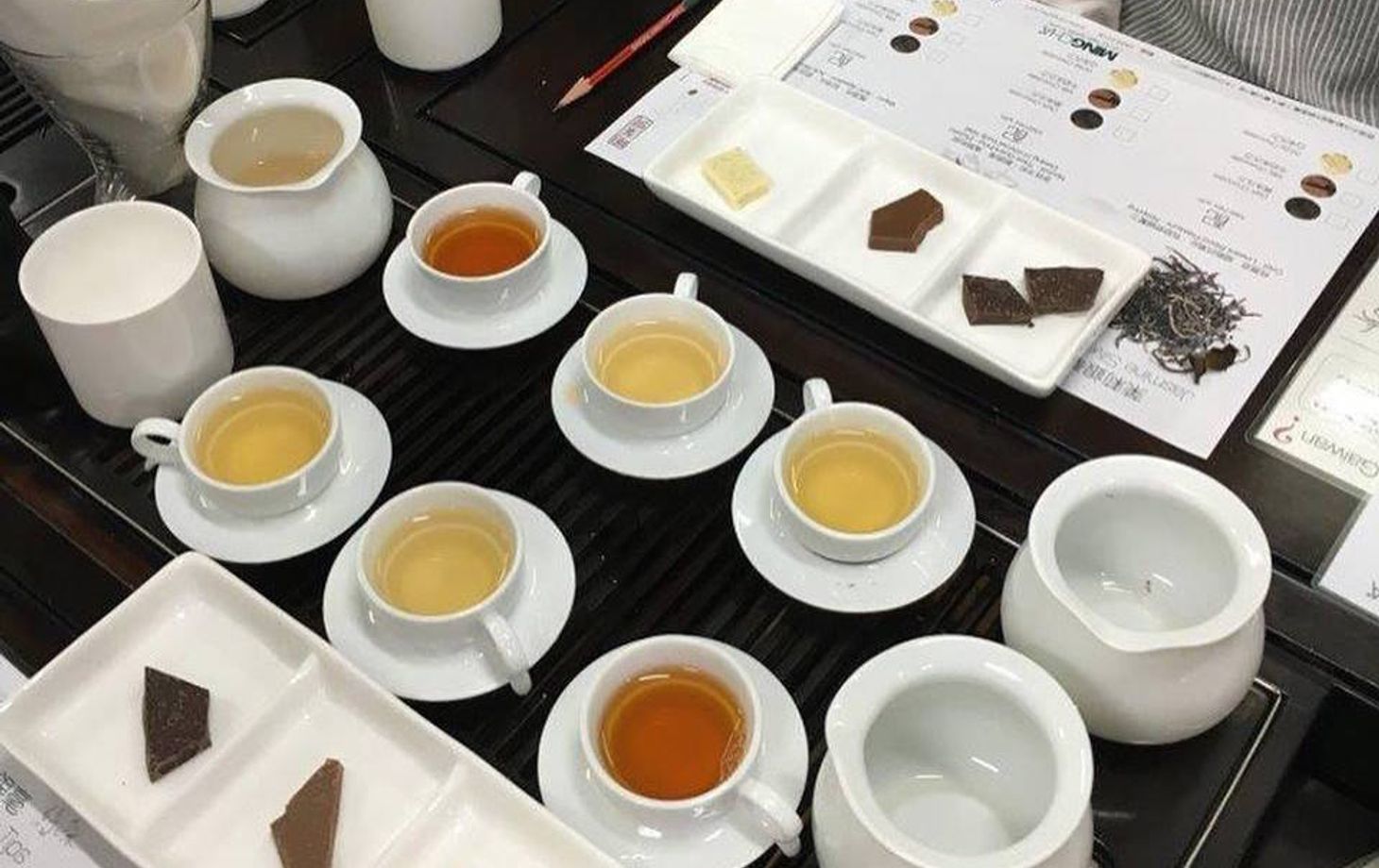 Experience The Art of Tea Tasting