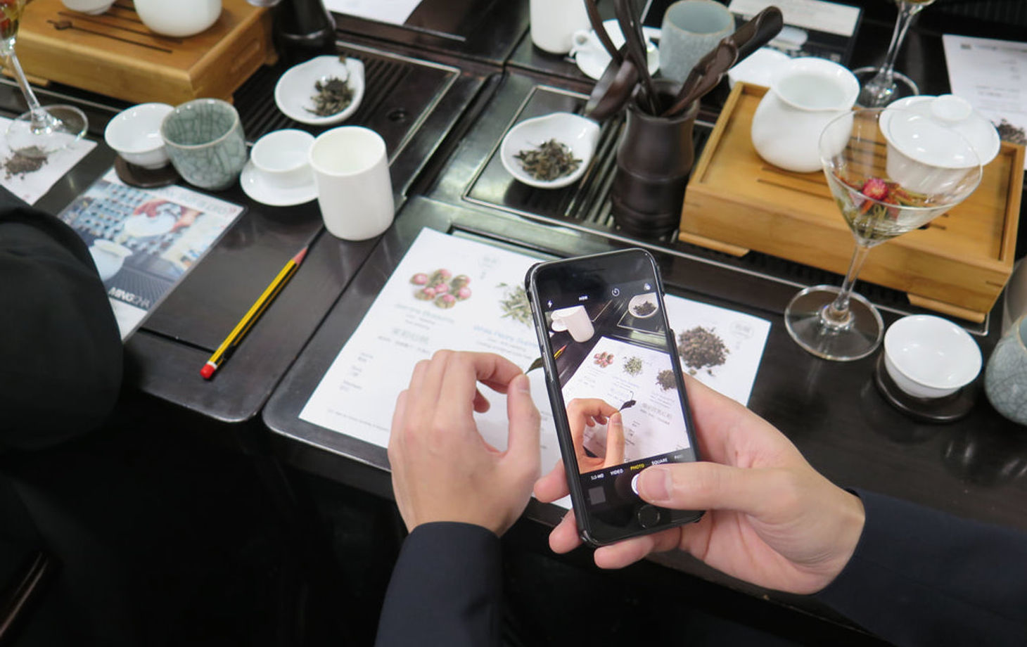 Experience The Art of Tea Tasting