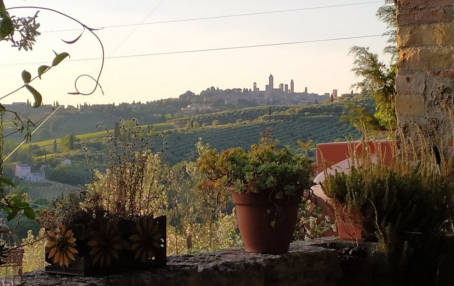 3-Course Cooking Class in Beautiful Tuscan Countryside by Chef and Sommelier