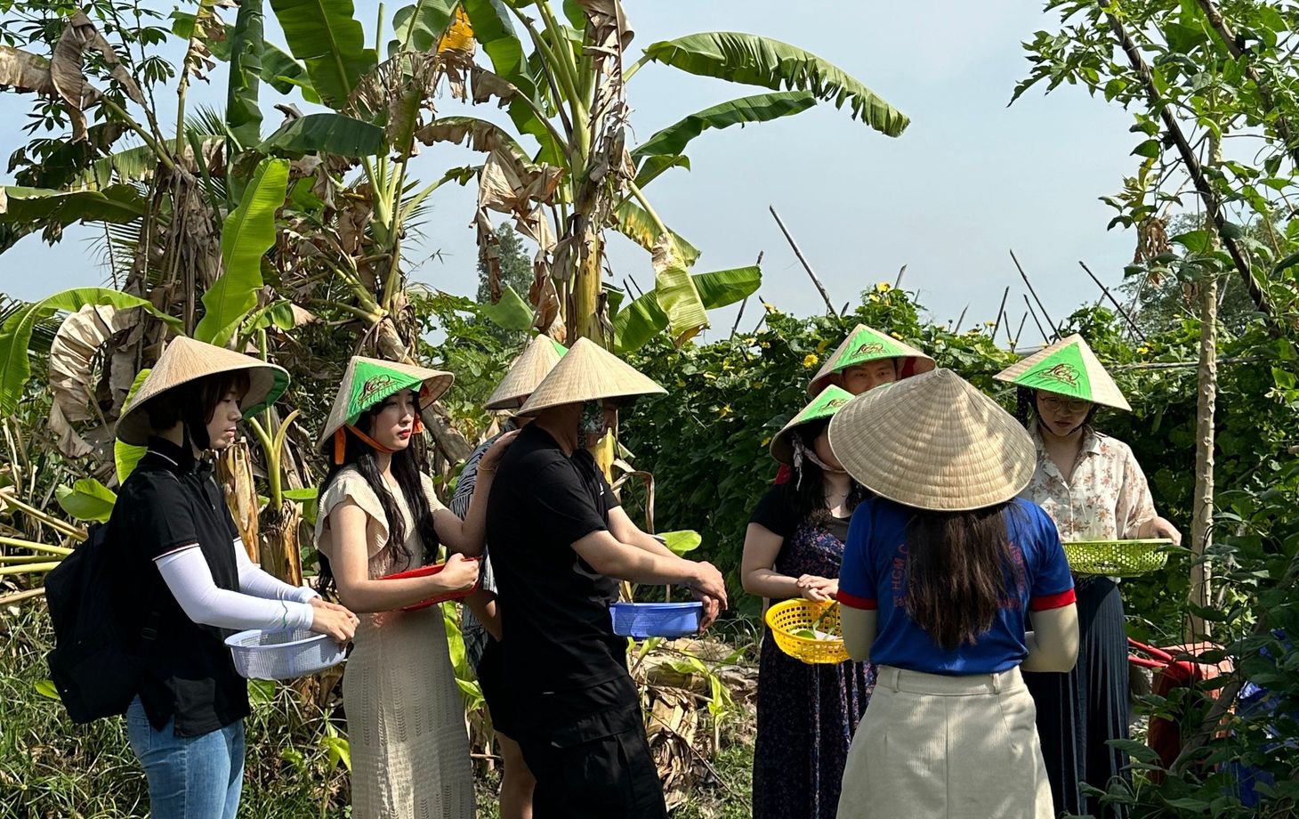 Farm to Table Cooking Class in Organic Farm