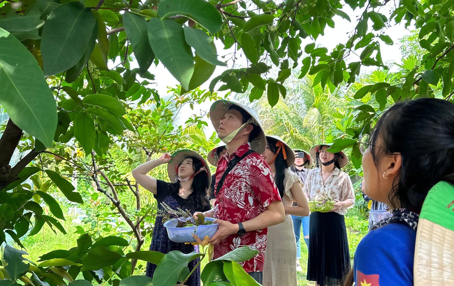 Farm to Table Cooking Class in Organic Farm