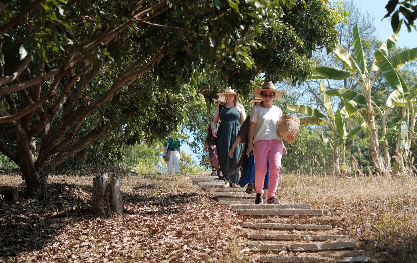 Farm to Table: Cooking at Organic Farm in Chiang Mai Forest