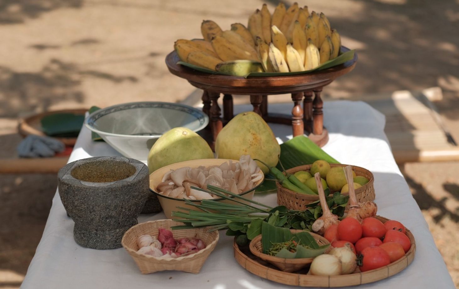 Farm to Table: Cooking at Organic Farm in Chiang Mai Forest