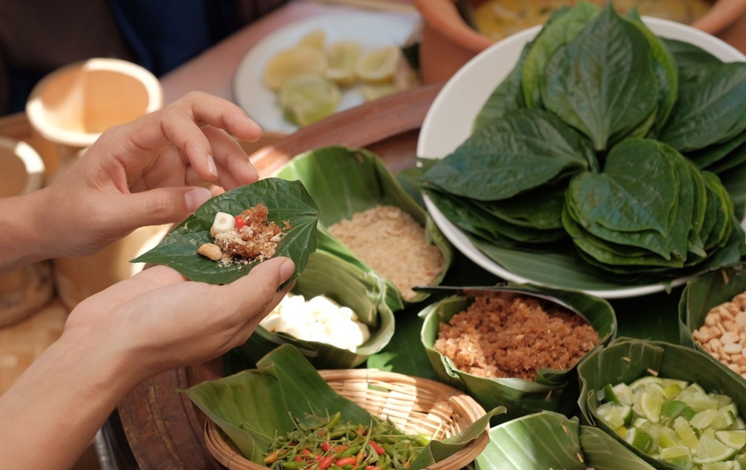 Farm to Table: Cooking at Organic Farm in Chiang Mai Forest