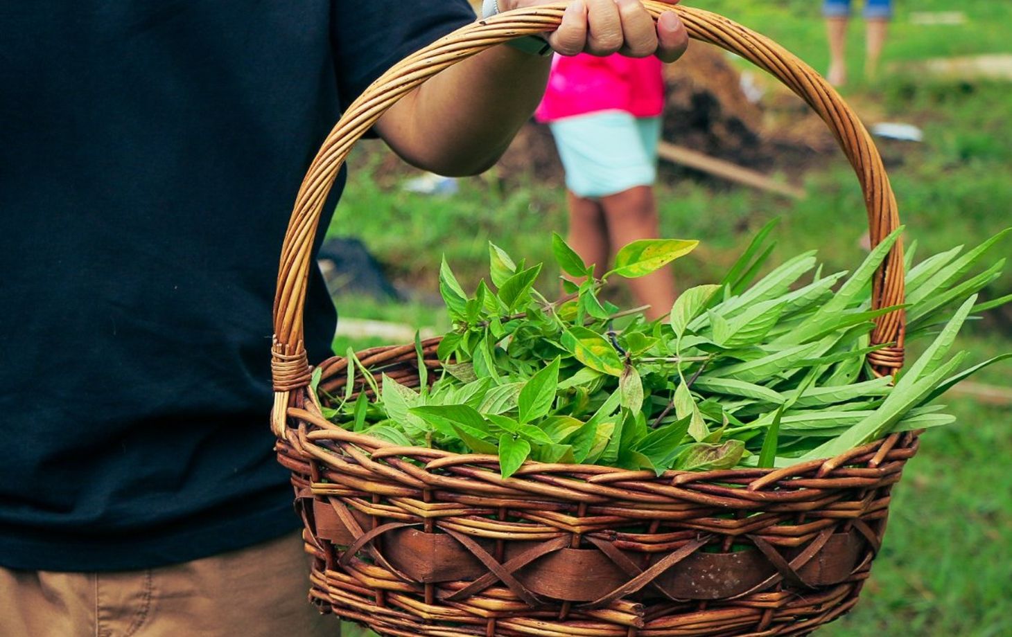 Expérience de cuisine bio à la ferme d'une demi-journée à Chiang Mai
