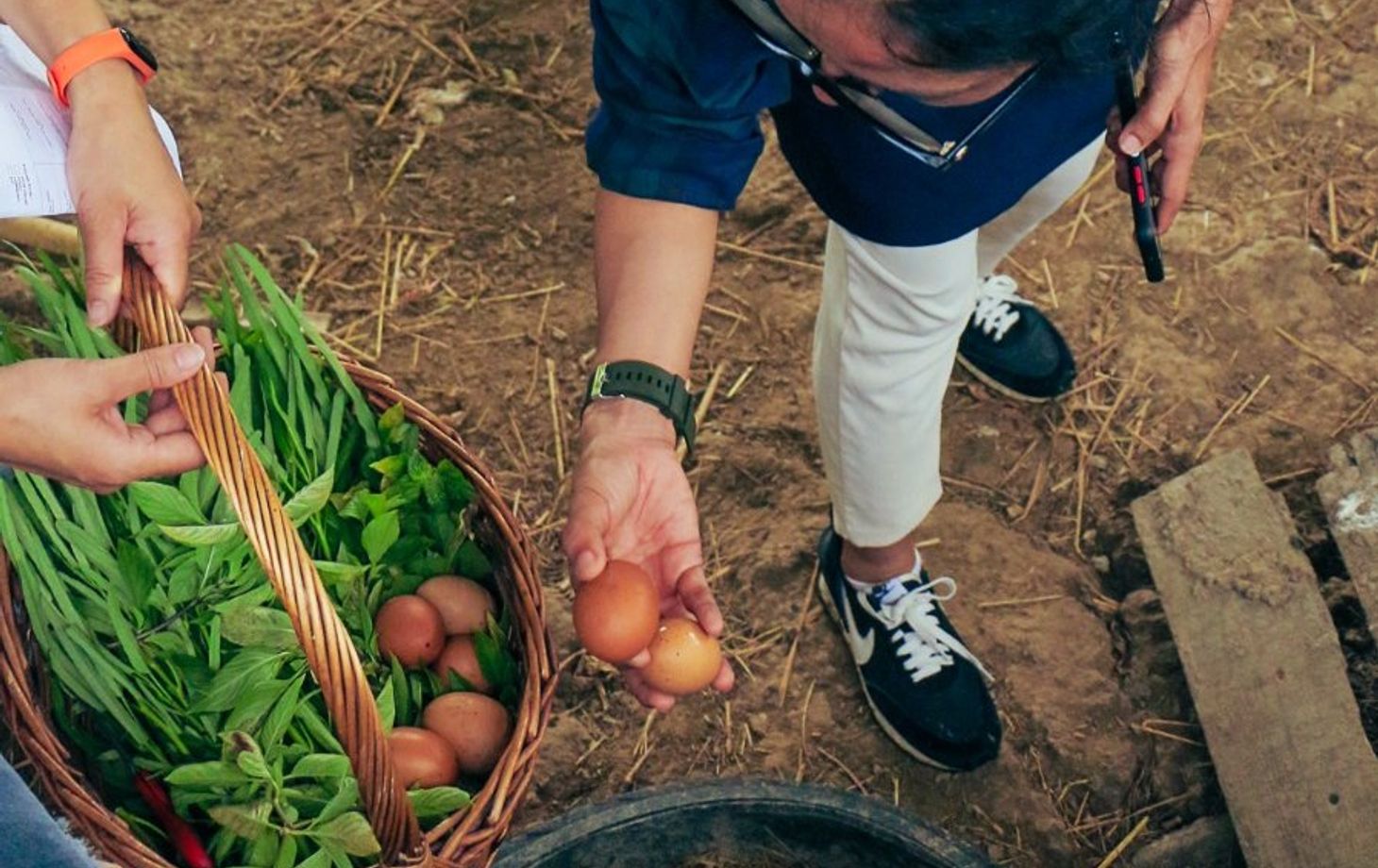 Expérience de cuisine bio à la ferme d'une demi-journée à Chiang Mai