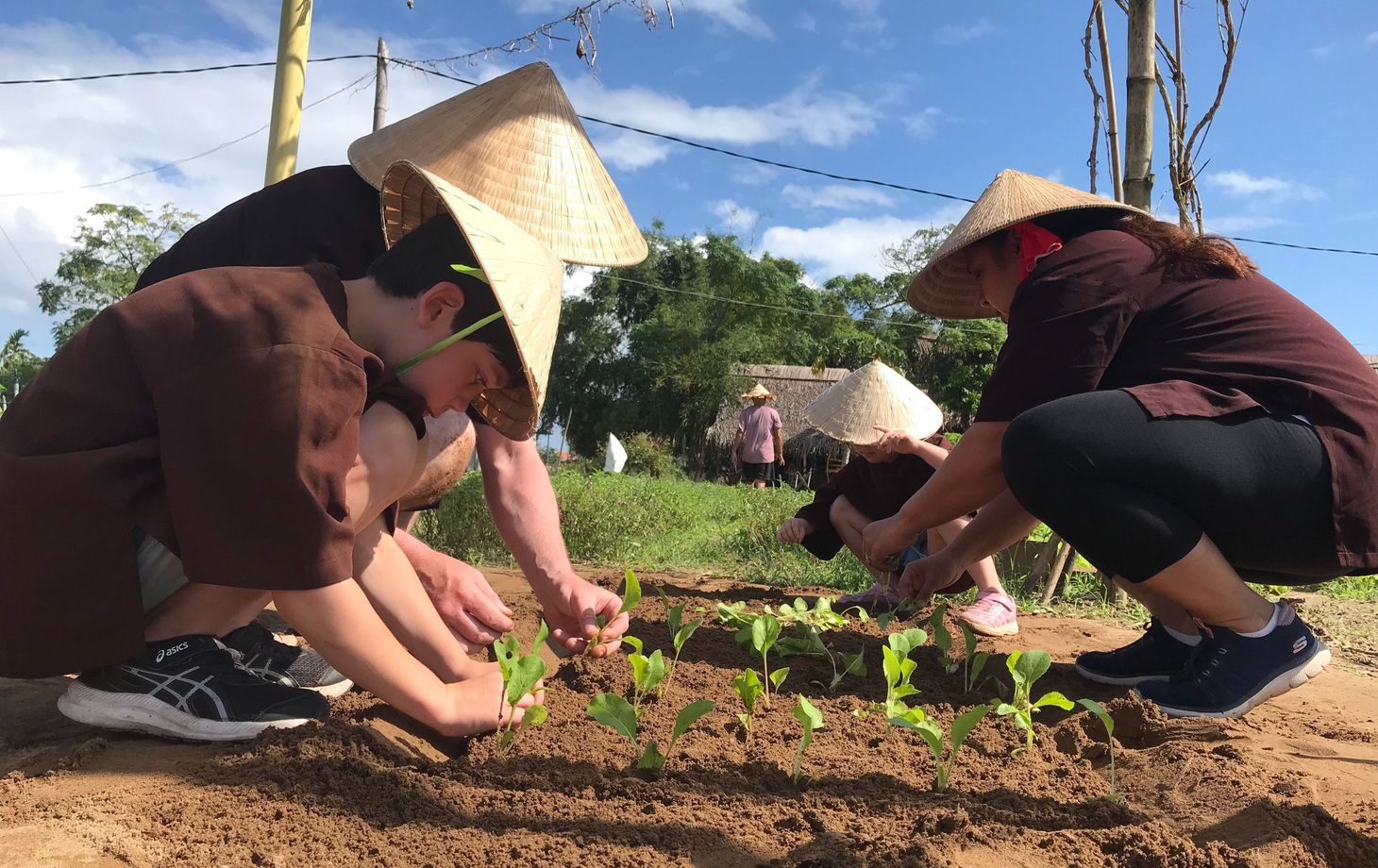 Farming and Cooking Experience in Tra Que Herb Village