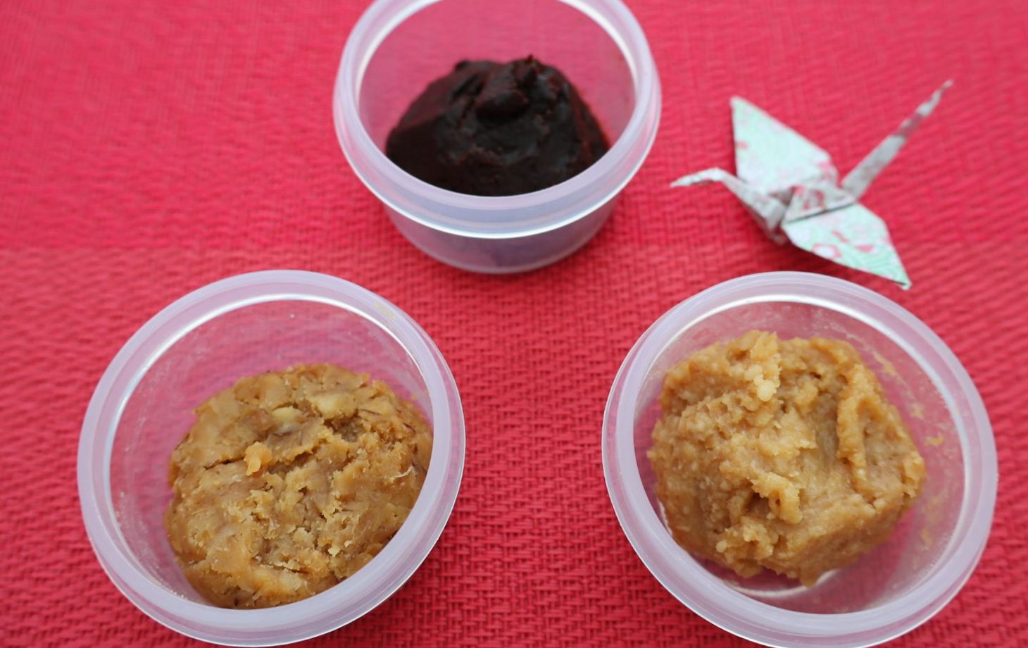 Flavors of Japan: Teriyaki and Miso-Based Cooking Class with Fermented Foods