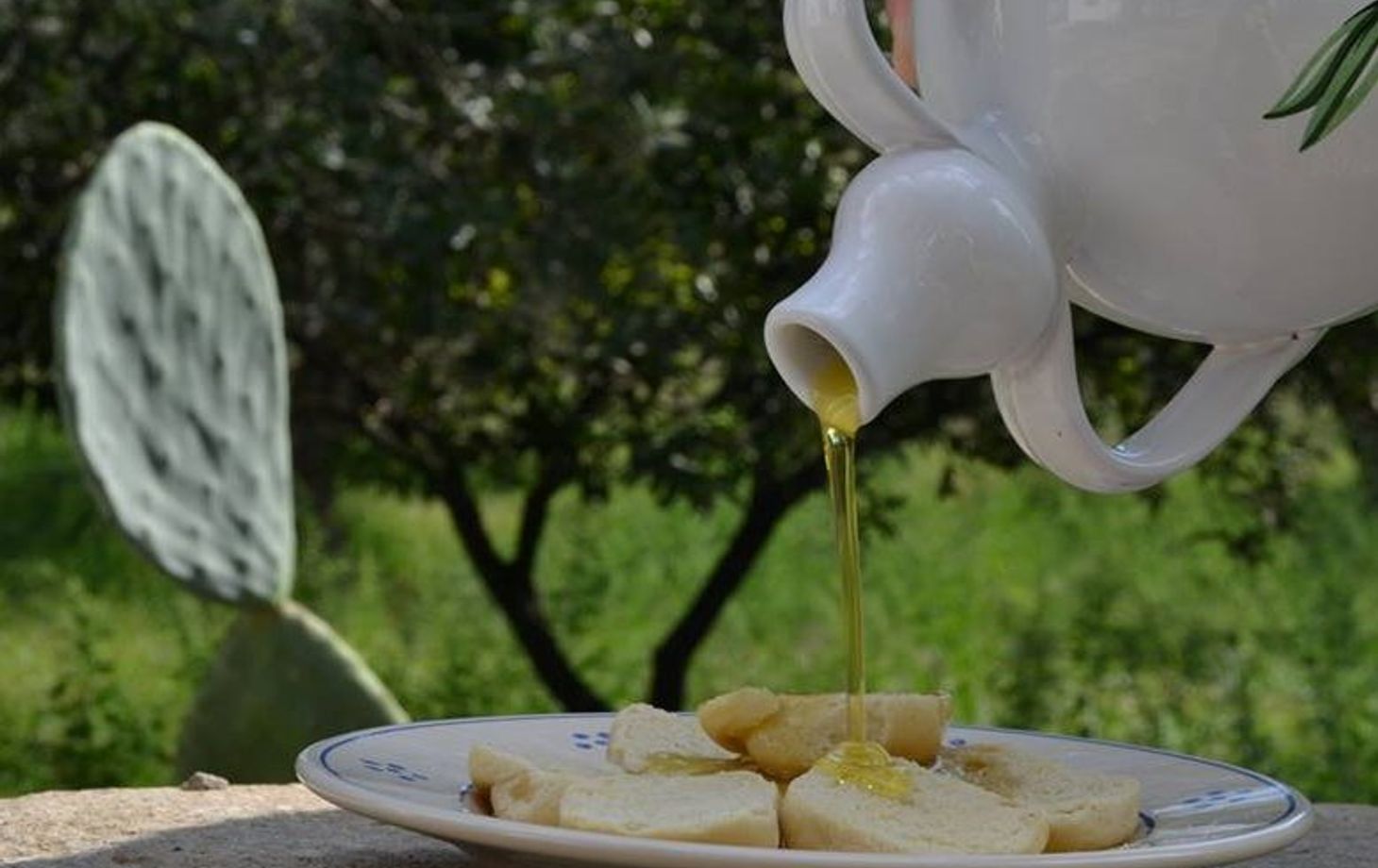 An Authentic Culinary Adventure with Local Cuisine and Wine Experience