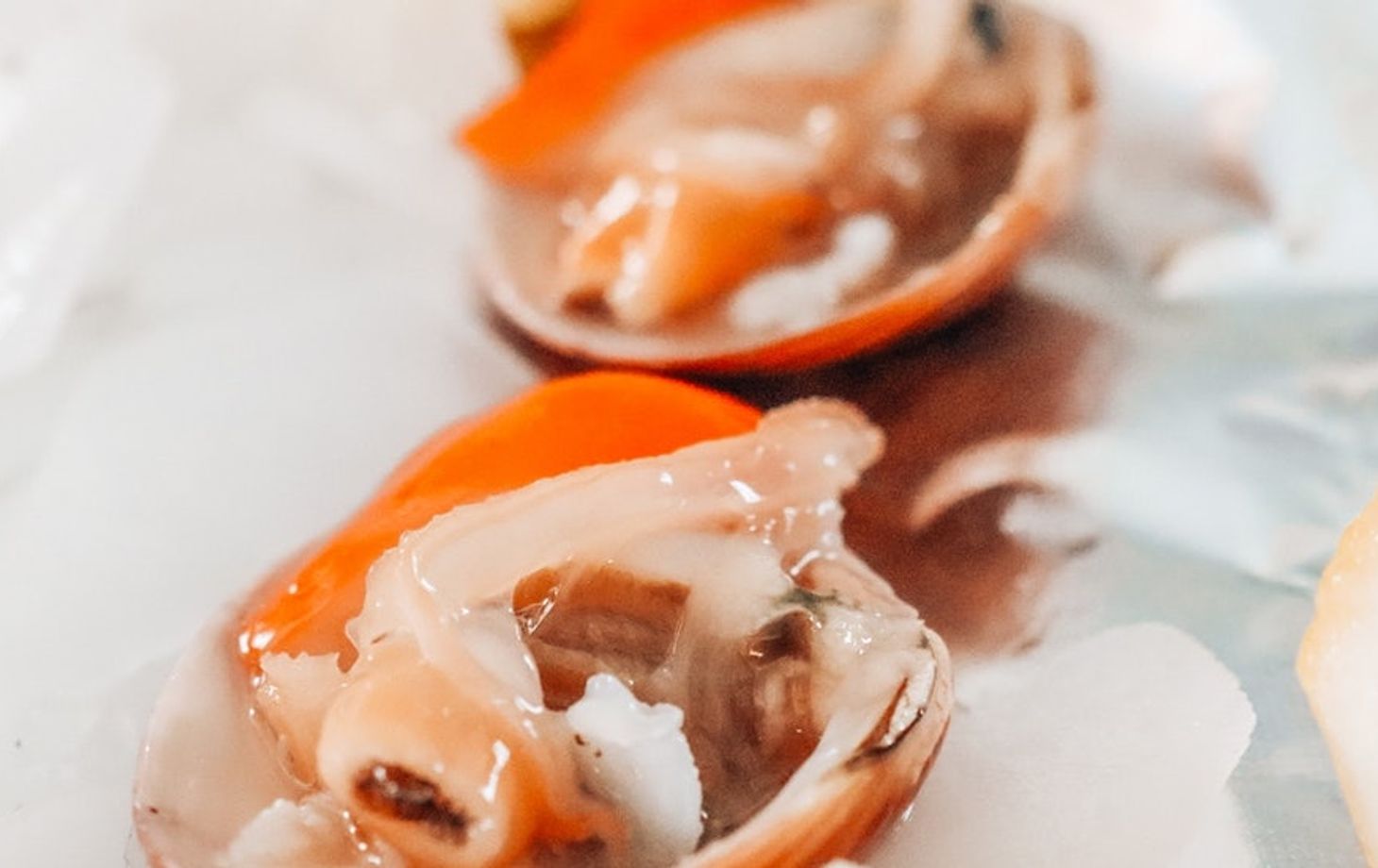 Promenade en bateau et visite gastronomique à Chioggia, près de Venise