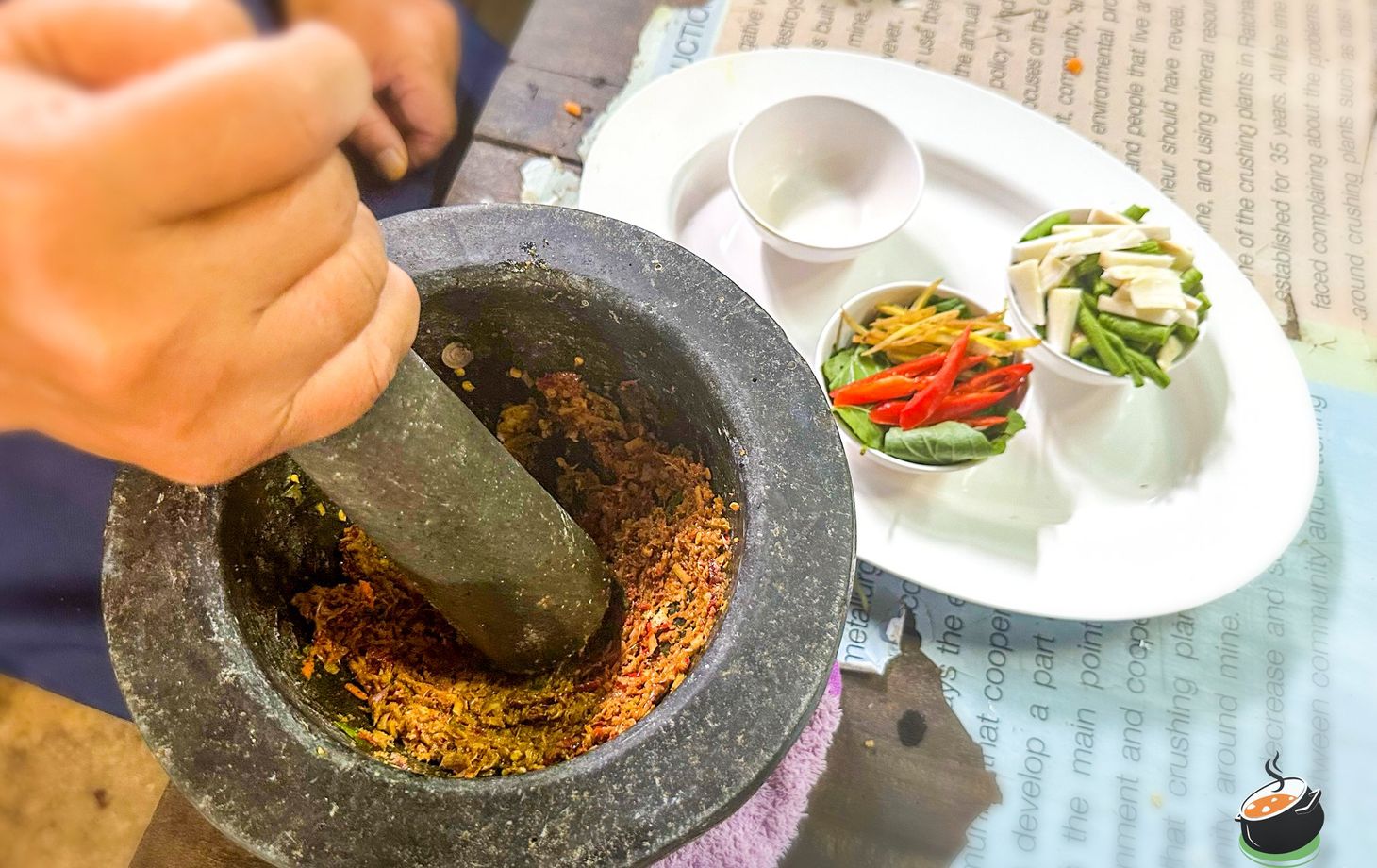 Fresh Organic Ingredients Cooking Thai Dish in Lovely Organic Farm Chiangmai
