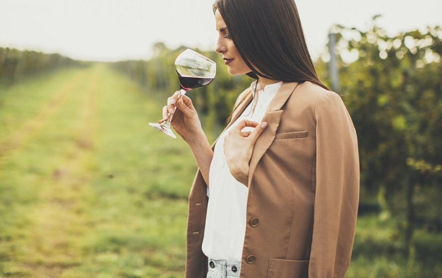 Winery Tour and Wine Tasting in Bologna