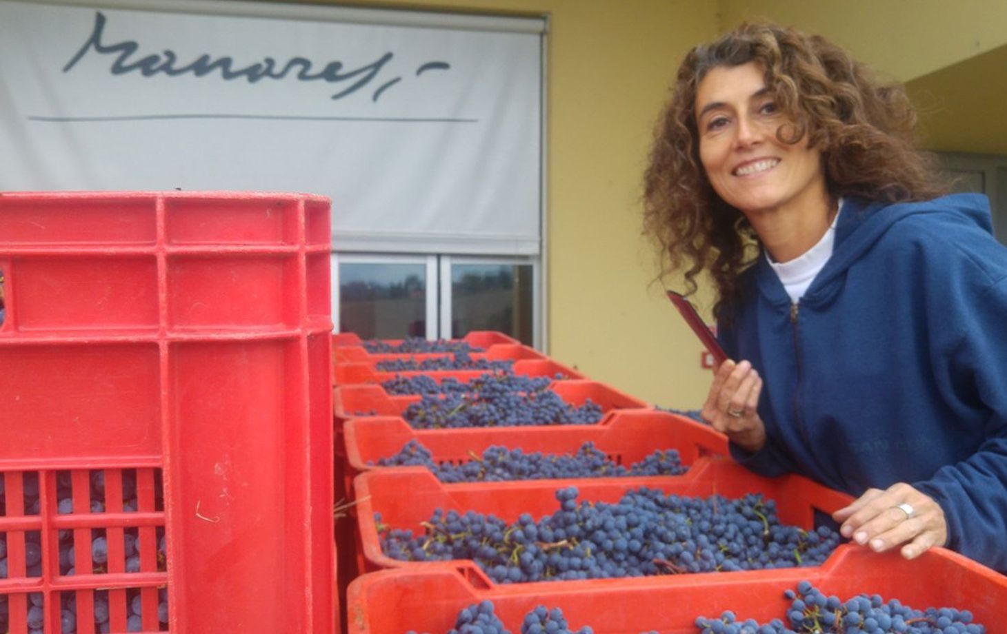 Winery Tour and Wine Tasting in Bologna