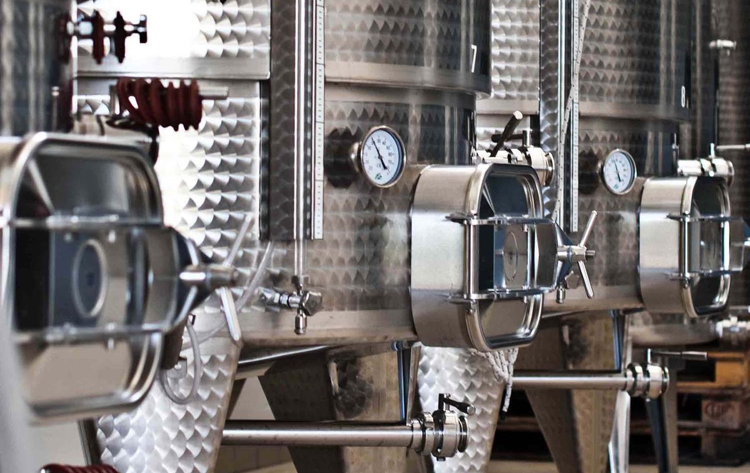 Winery Tour and Wine Tasting in Bologna
