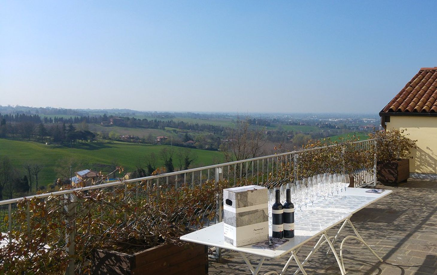 Winery Tour and Wine Tasting in Bologna
