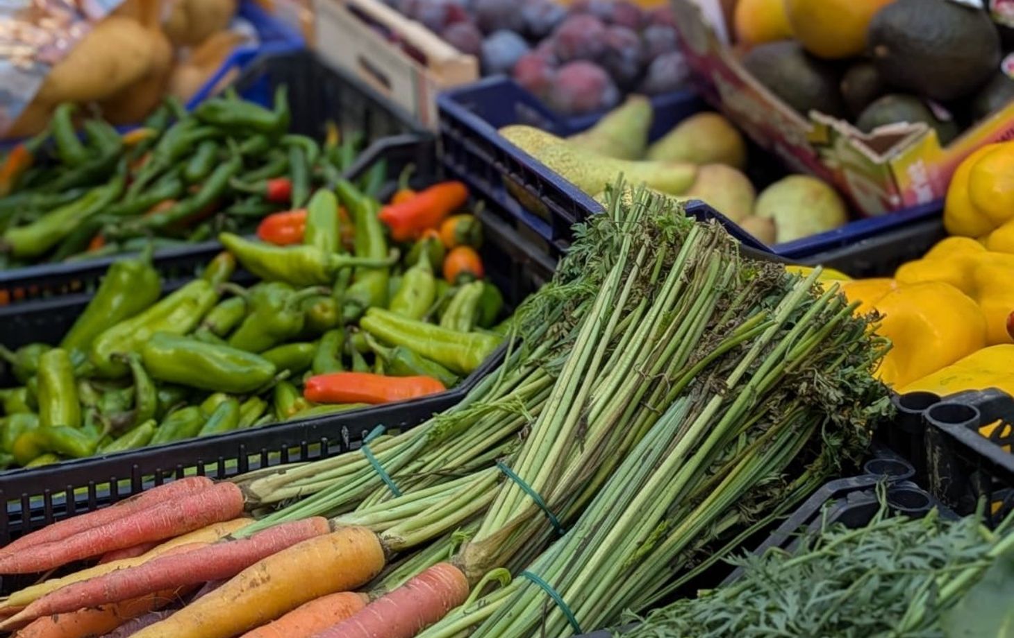 Tuscan Market-to-Table Cooking Experience & Wine Tasting