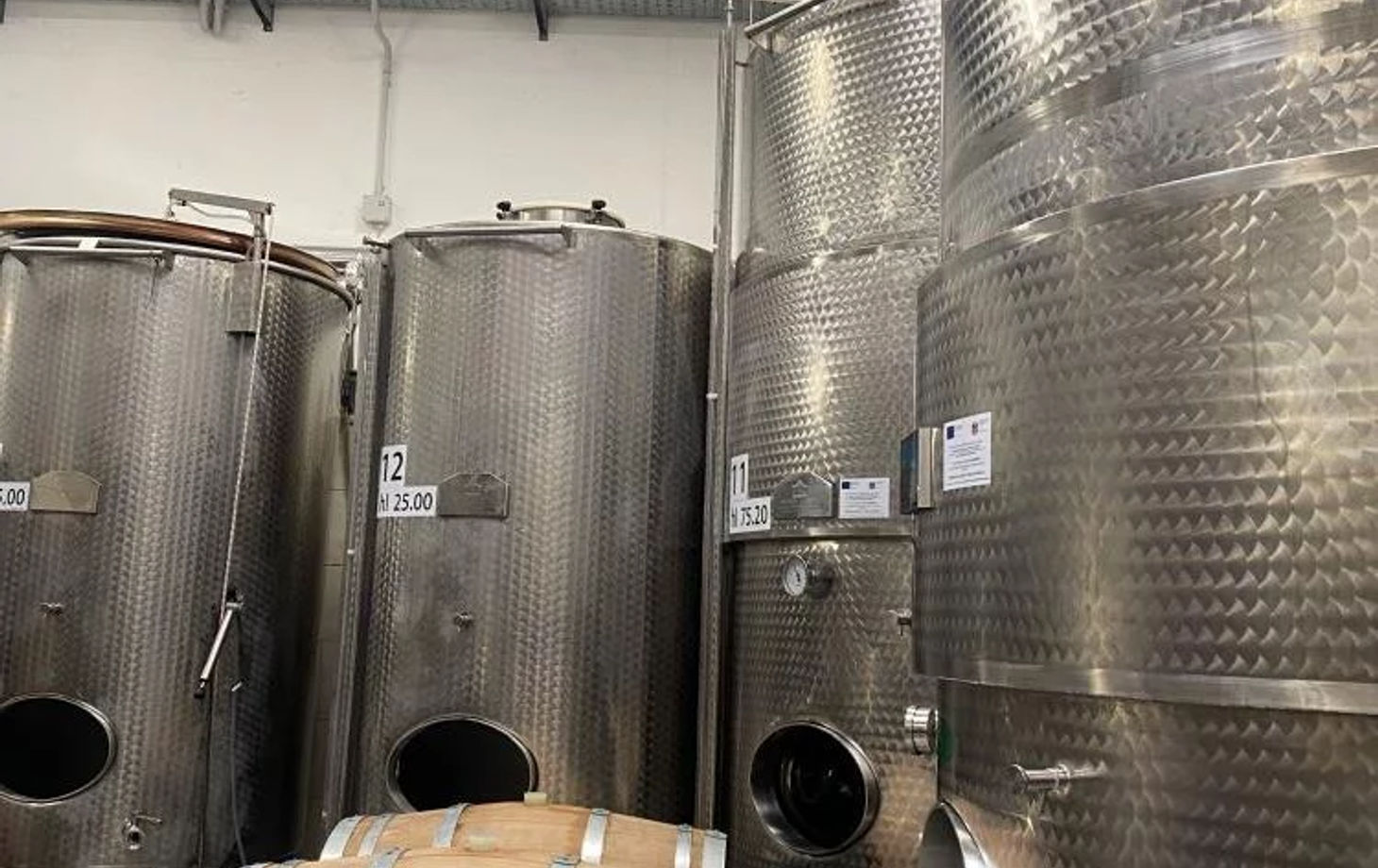 From Vineyard to Table: Wine Tasting and Gourmet Pizza Making in Rome
