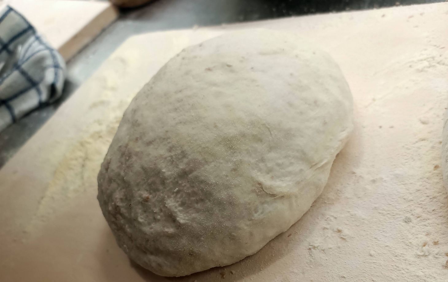 From Vineyard to Table: Wine Tasting and Gourmet Pizza Making in Rome