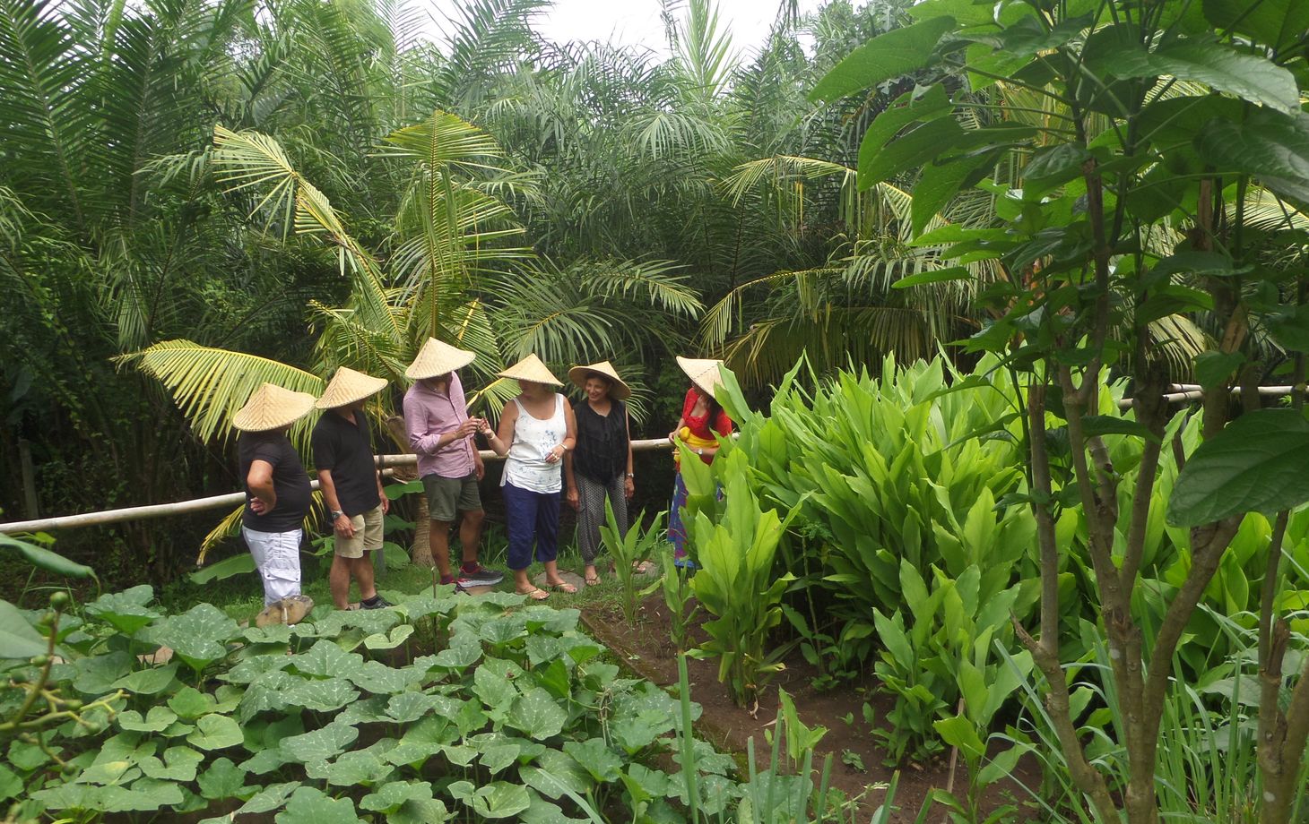 Full-Day Balinese & Indonesian Cooking Class with Market & Garden Tour